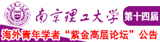 插入逼逼嗯国产南京理工大学第十四届海外青年学者紫金论坛诚邀海内外英才！